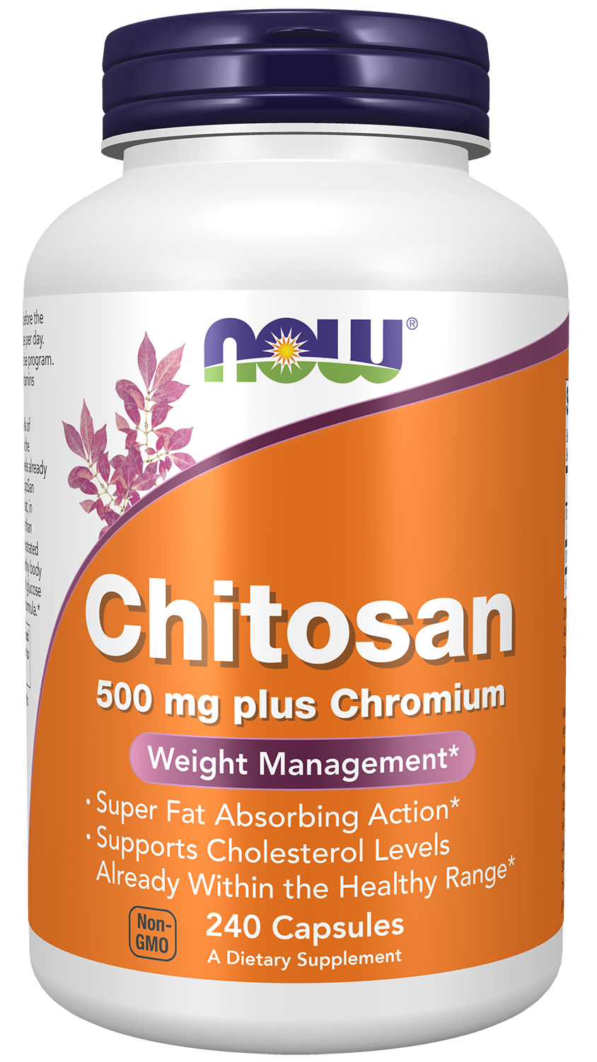 NOW Foods Chitosan Plus Chromium