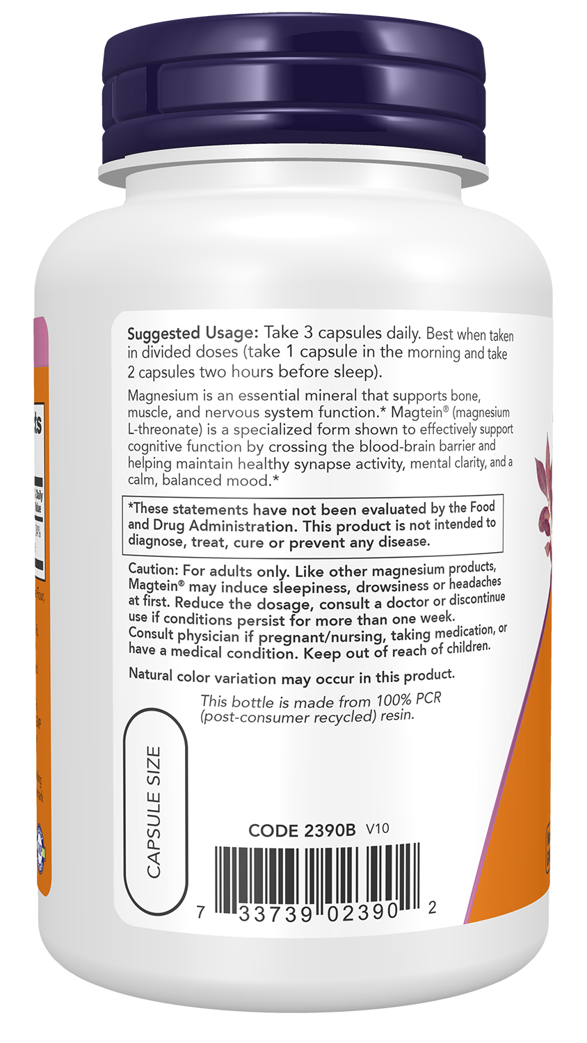 NOW Foods Magtein Magnesium L-Threonate