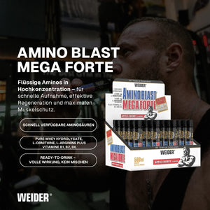 Weider Amino Blast Mega Forte