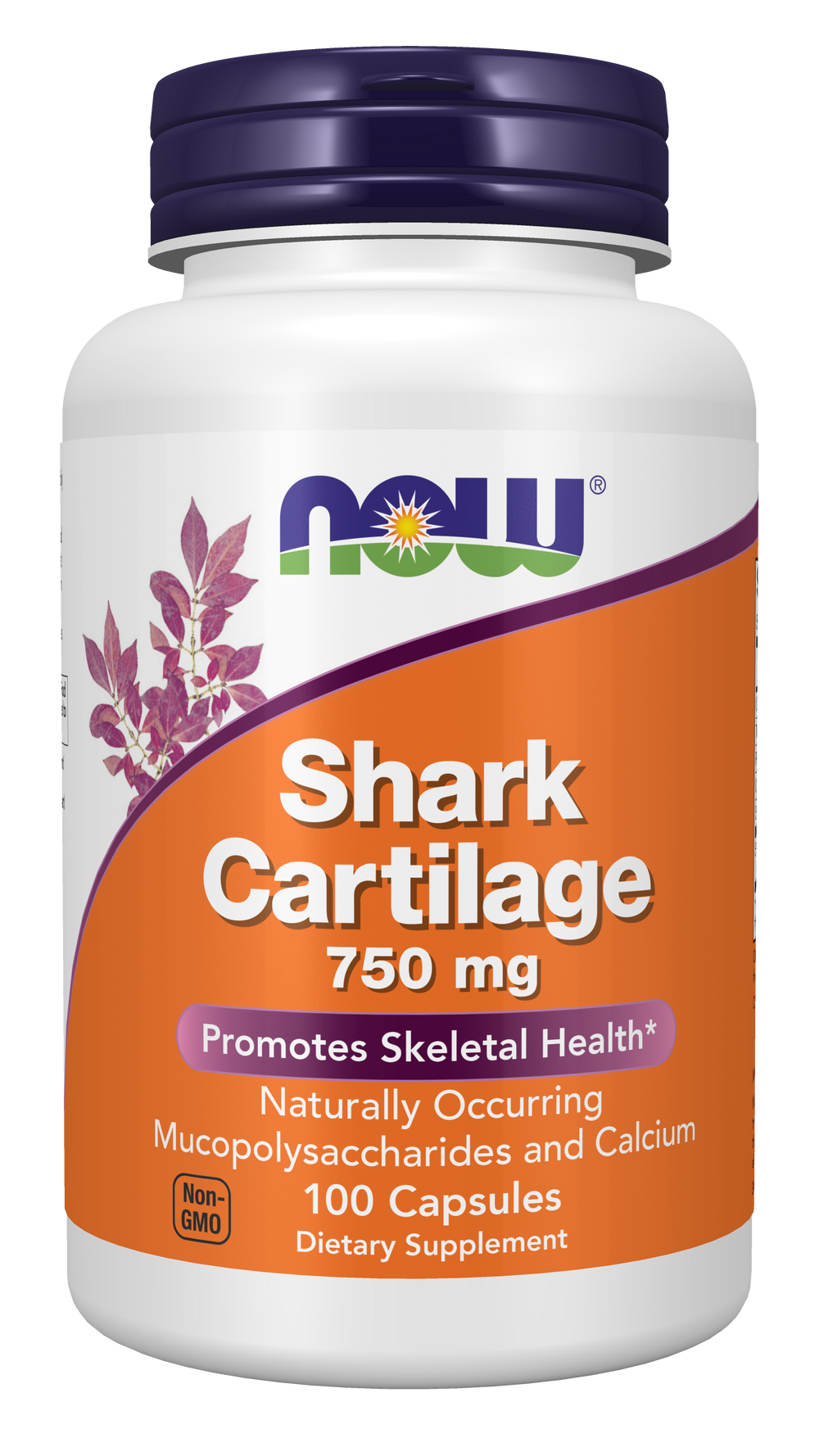 NOW Foods Shark Cartilage