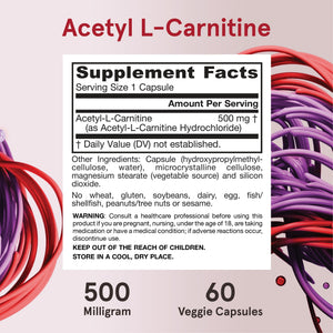 Jarrow Formulas Acetyl L-Carnitine