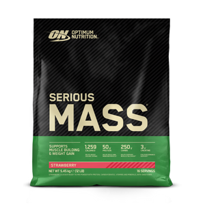 Optimum Nutrition Serious Mass