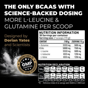 Dorian Yates HIT BCAA 4:1:1 + Glutamine