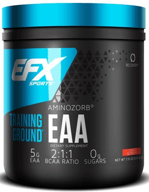 EFX Sports Training Ground EAA