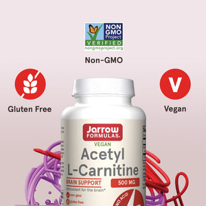 Jarrow Formulas Acetyl L-Carnitine
